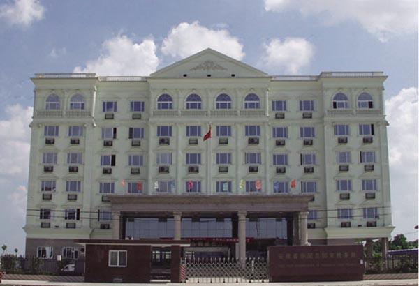 東至縣國稅局智能化